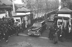 Limo drives in parade